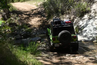 DSC_5906 (Large).JPG